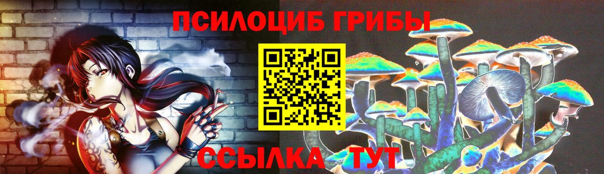 Псилоцибиновые грибы Psilocybe  Вход с VPN  Псилоцибиновые грибы GOLDEN TEACHER  Менделеевск 